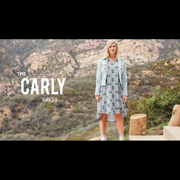 LuLaRoe Dutch print Carly Dress - Picture 9 of 9